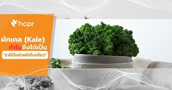 ผักเคล (Kale) ทำไมถึงได้เป็น "ราชินีแห่งผักใบเขียว"