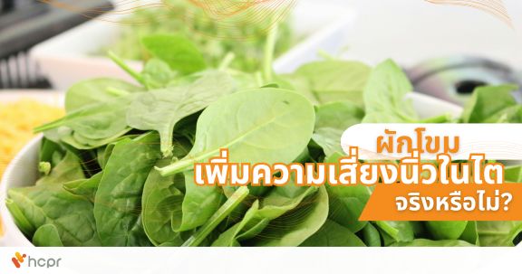 ผักโขมเพิ่มความเสี่ยงนิ่วในไต จริงหรือไม่?
